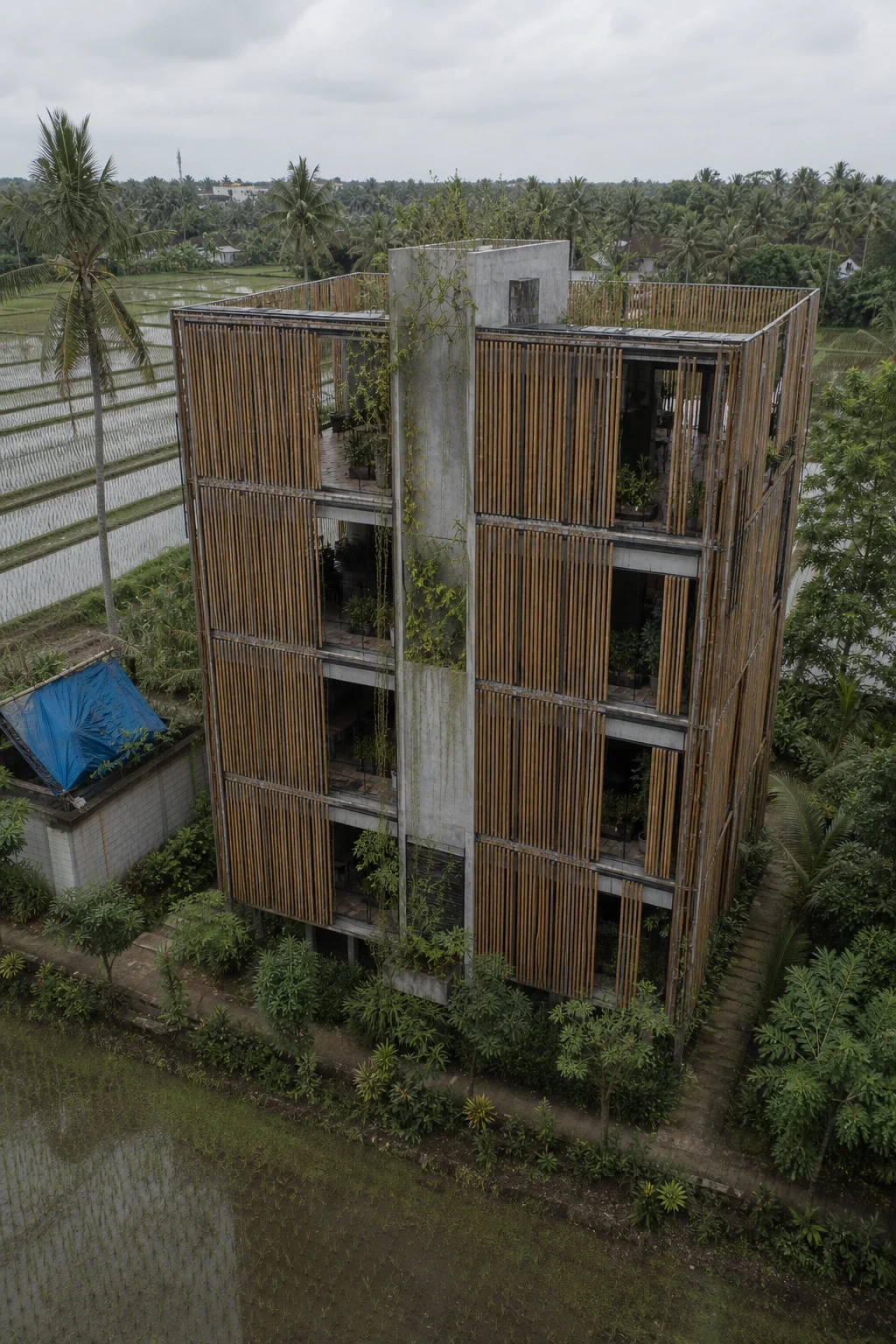 稻風竹庭 - 建築空間 - 圖片 5